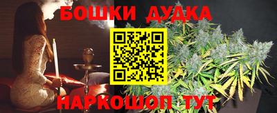 индика Кулебаки