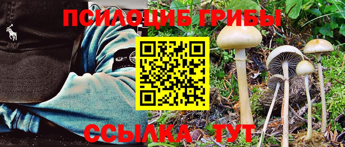 купить закладку  Псилоцибиновые грибы Psilocybe  Псилоцибиновые грибы прущие грибы  Вход с VPN  Кашира 