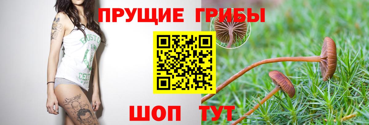 Псилоцибиновые грибы мухоморы Кашира